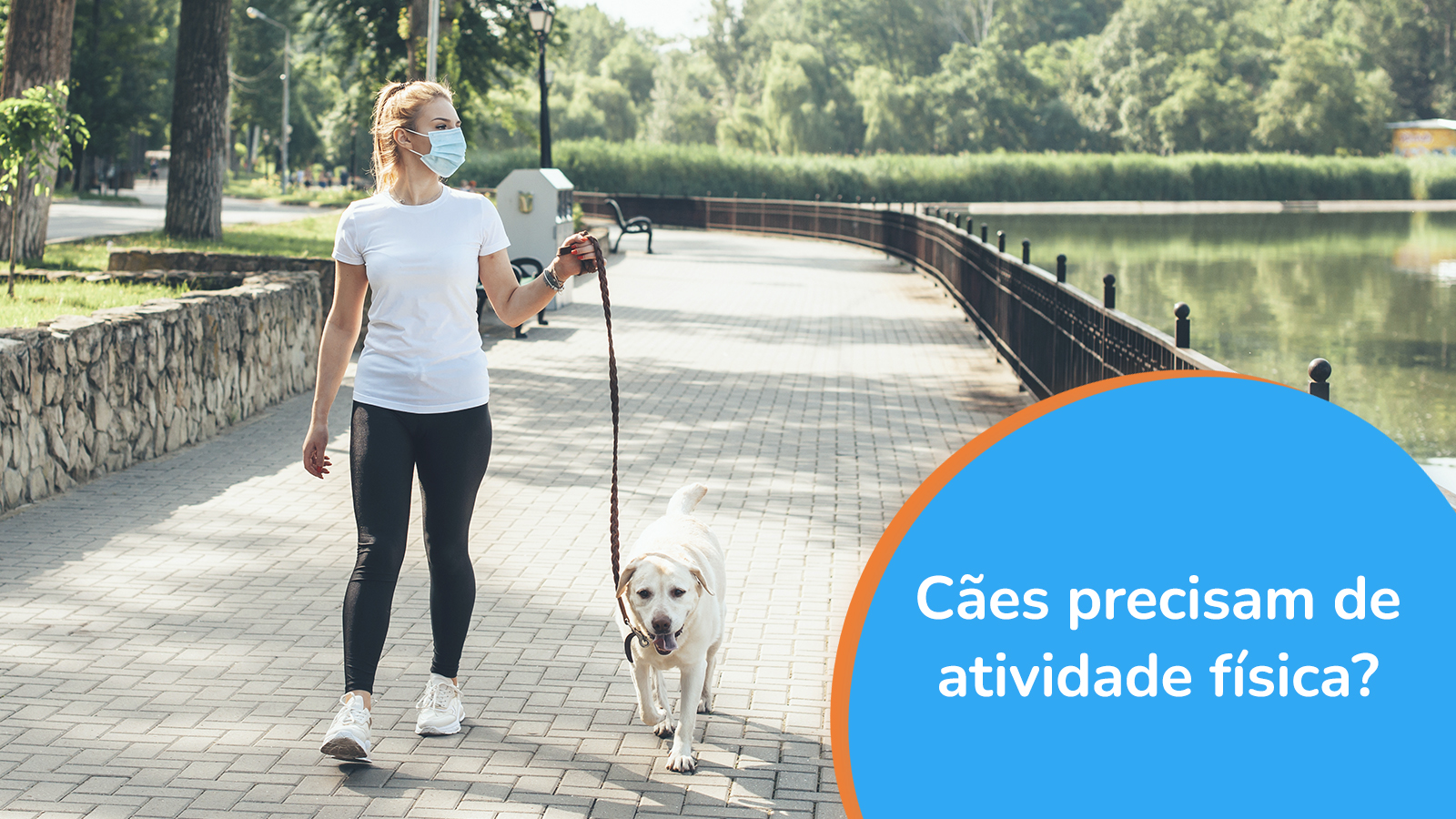 Cães precisam de atividade física?