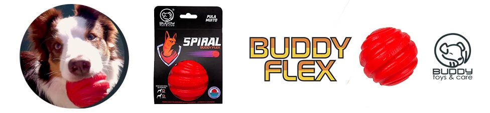 Brinquedo Bola Spiral Buddy Flex