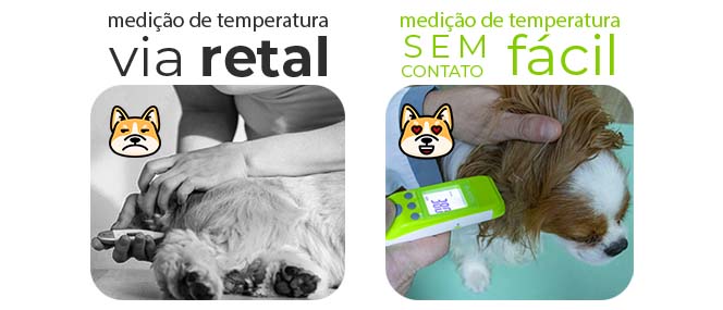 Medir temperatura Cães